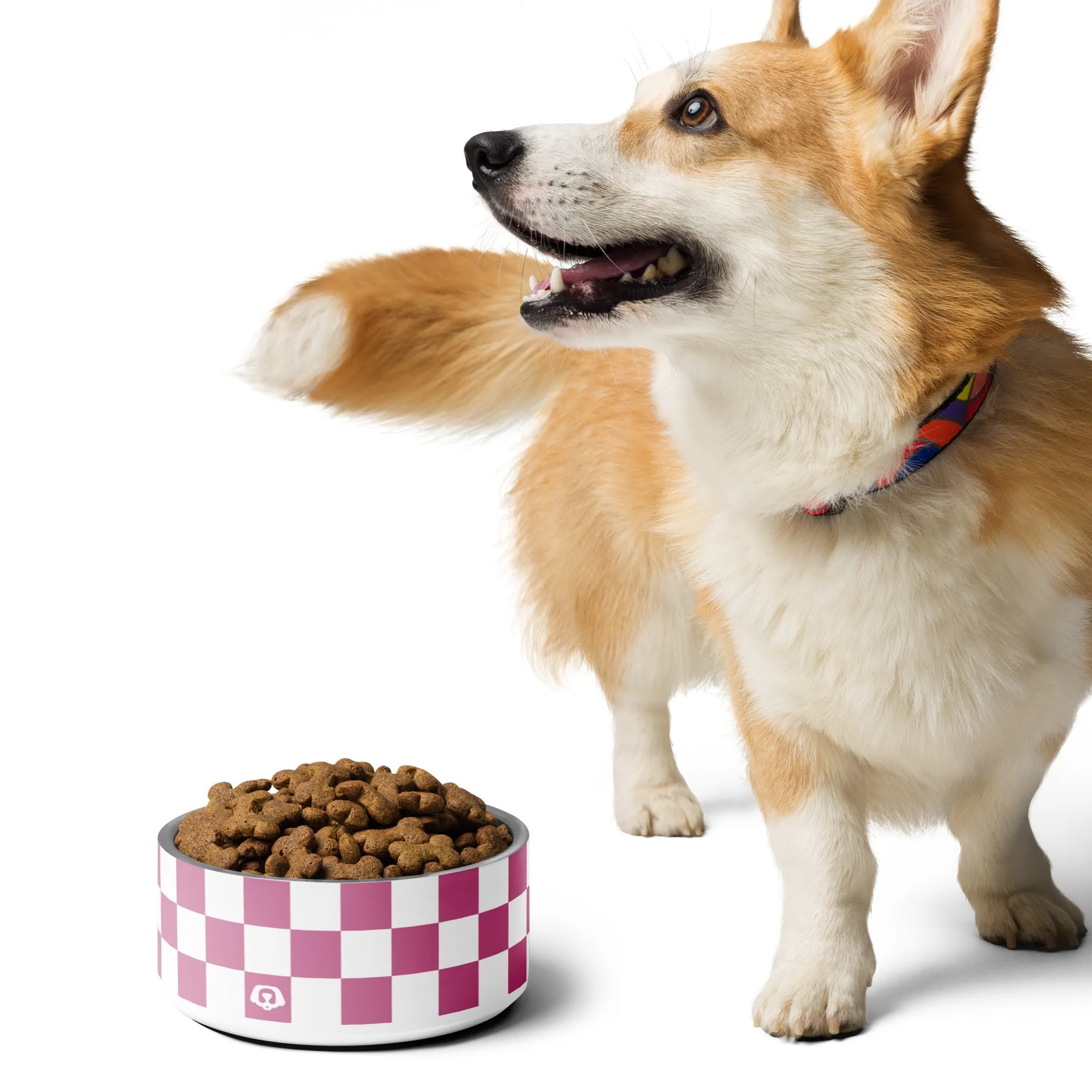 WUFORIA Checker Razzberry 32oz Dog Bowl
