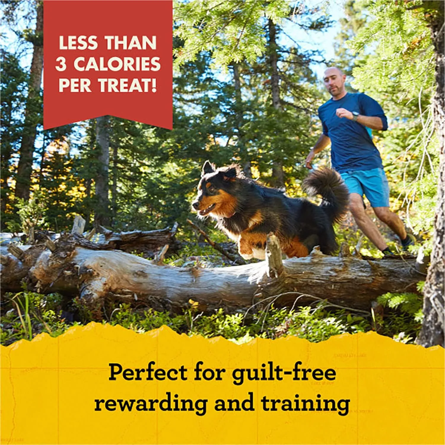 Zuke's Mini Naturals Training Dog Treats (16 Ounce (Pack of 2), Beef)
