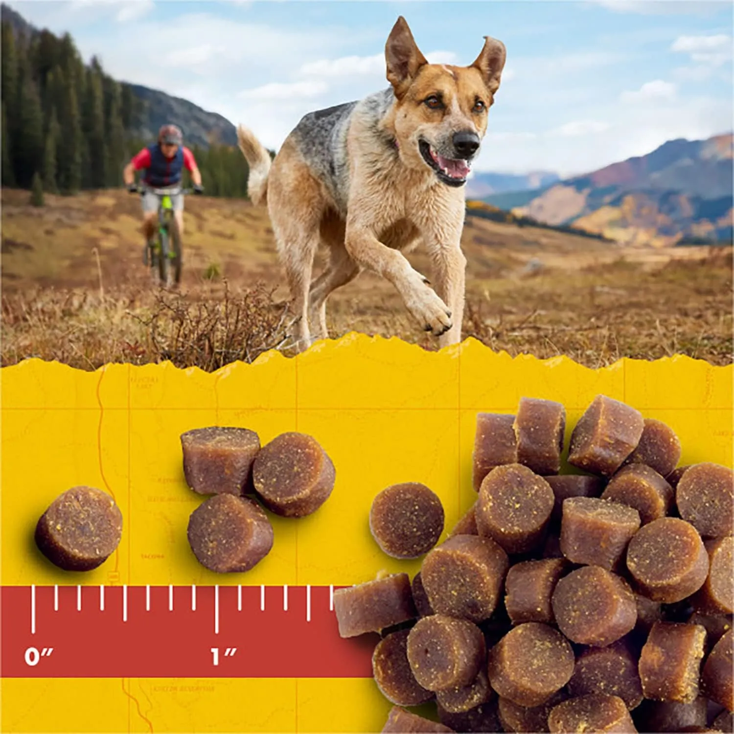 Zuke's Mini Naturals Training Dog Treats (16 Ounce (Pack of 2), Beef)