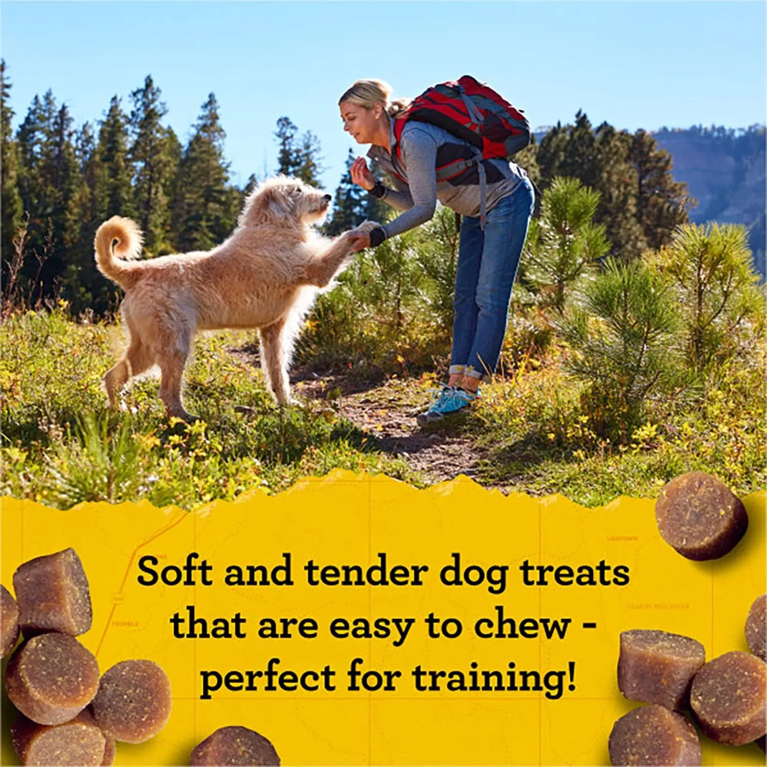 Zuke's Mini Naturals Training Dog Treats (16 Ounce (Pack of 2), Beef)